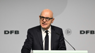 Gr&uuml;ndung der "Frauen-DFL" f&uuml;r den 10. Dezember vorgesehen