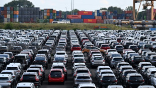 Ann&eacute;e noire pour le march&eacute; des voitures &eacute;lectriques en Allemagne