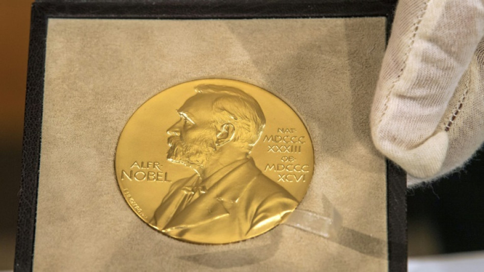 Nobel de Qu&iacute;mica premia avan&ccedil;os na previs&atilde;o da estrutura de prote&iacute;nas com IA