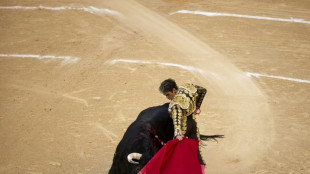 Torero espa&ntilde;ol Jos&eacute; Tom&aacute;s corta dos orejas en su esperado regreso al ruedo