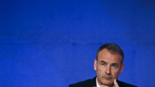 Gouvernance, &eacute;nergies vertes: incertitudes apr&egrave;s l'&eacute;viction du patron de BP