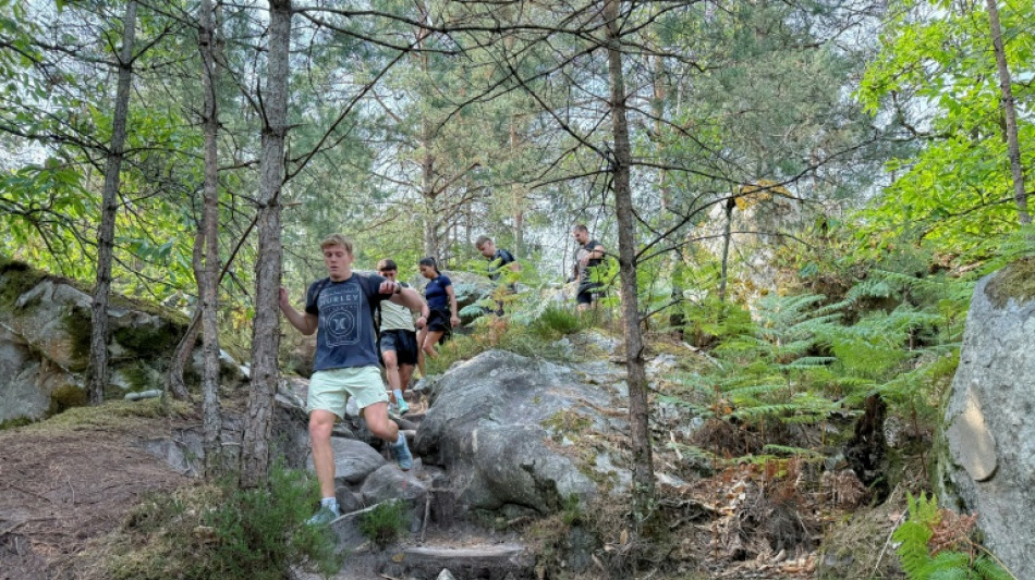 En for&ecirc;t de Fontainebleau, le sentier des 25 bosses "victime de son succ&egrave;s"