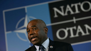 French chauffeur to face trial over alleged theft from UK minister