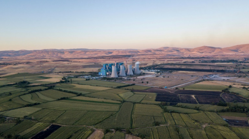 La demanda de petr&oacute;leo, gas y carb&oacute;n alcanzar&aacute; su m&aacute;ximo en una d&eacute;cada, seg&uacute;n la AIE
