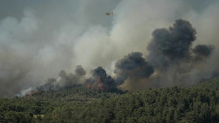 Dans l'Aude, le plus gros incendie de l'&eacute;t&eacute; fait un bless&eacute; grave et oblige &agrave; fermer l'A9