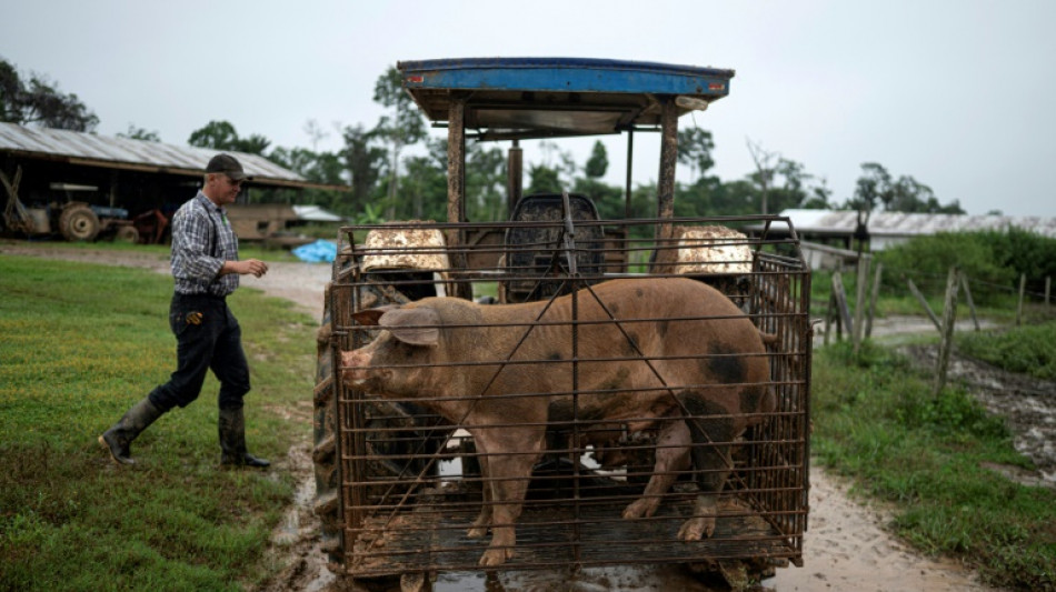 Flechas contra tractores: expansi&oacute;n menonita aviva pugna en Amazon&iacute;a peruana 