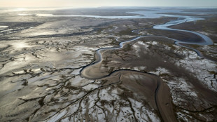 El delta del r&iacute;o Colorado en M&eacute;xico vuelve lentamente a la vida 