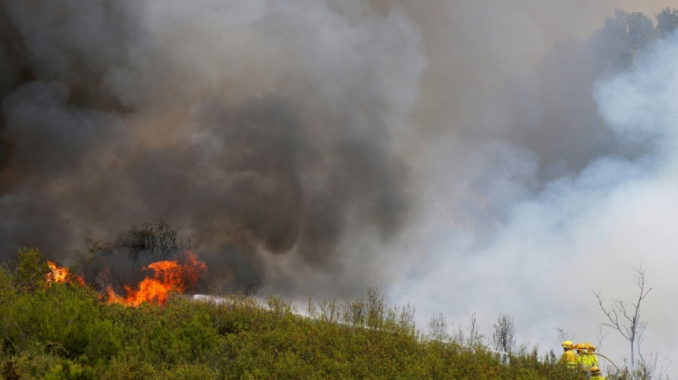 S&aacute;nchez propone un pacto nacional por "emergencia clim&aacute;tica" en plenos incendios en Espa&ntilde;a
