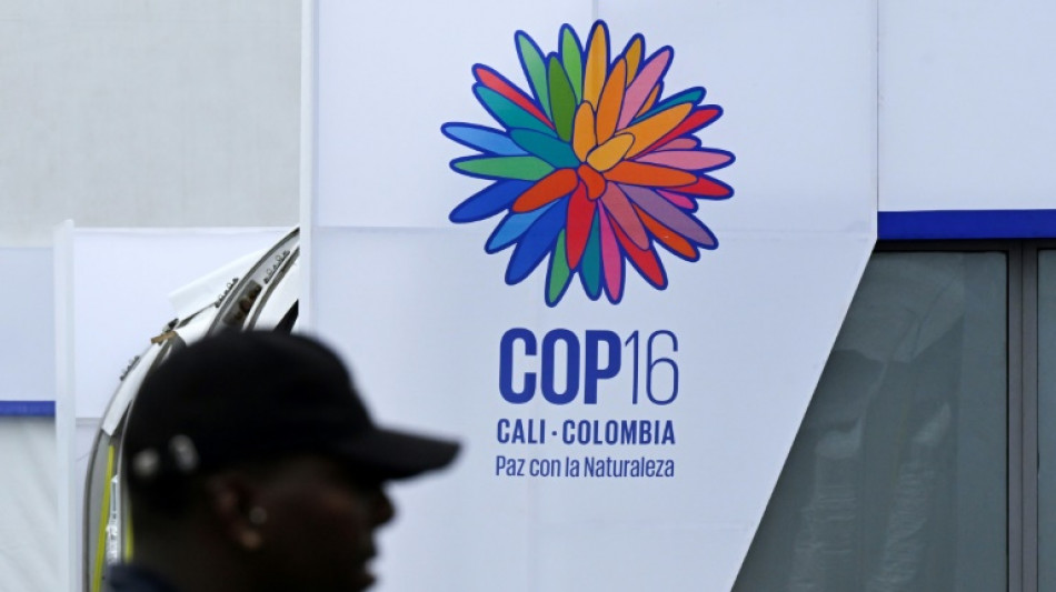 Une bonne action pour le climat ne l'est pas toujours pour la biodiversit&eacute;