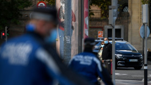 Un agente de la polic&iacute;a es investigado en Espa&ntilde;a por estrangular hasta la muerte a un presunto ladr&oacute;n