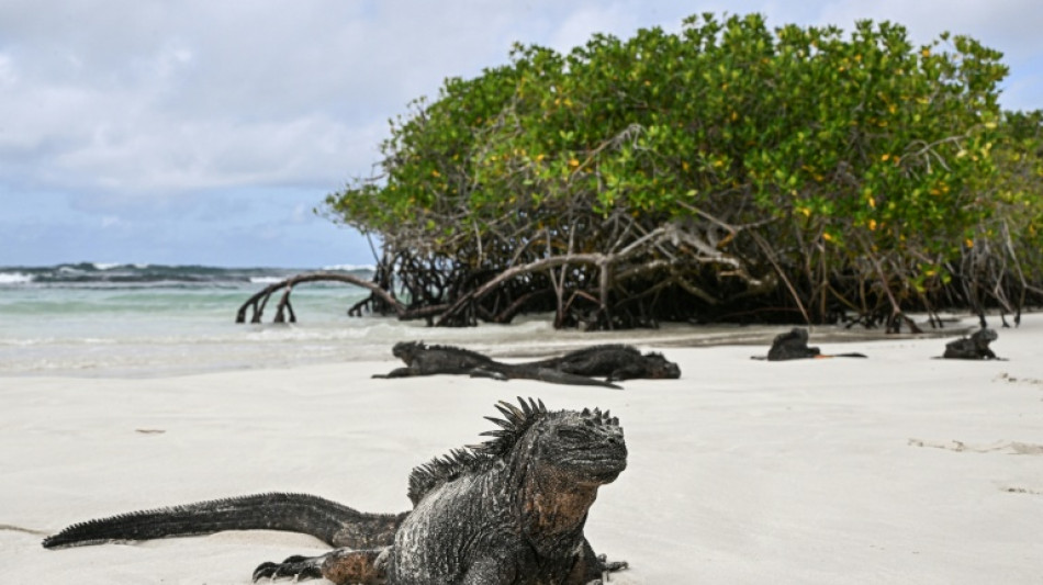 EEUU y Ecuador descartan instalar una base militar en Gal&aacute;pagos