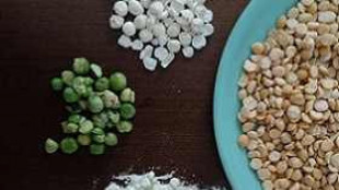 Da residui lavorazione frutta e legumi nuovi ingredienti e materiali