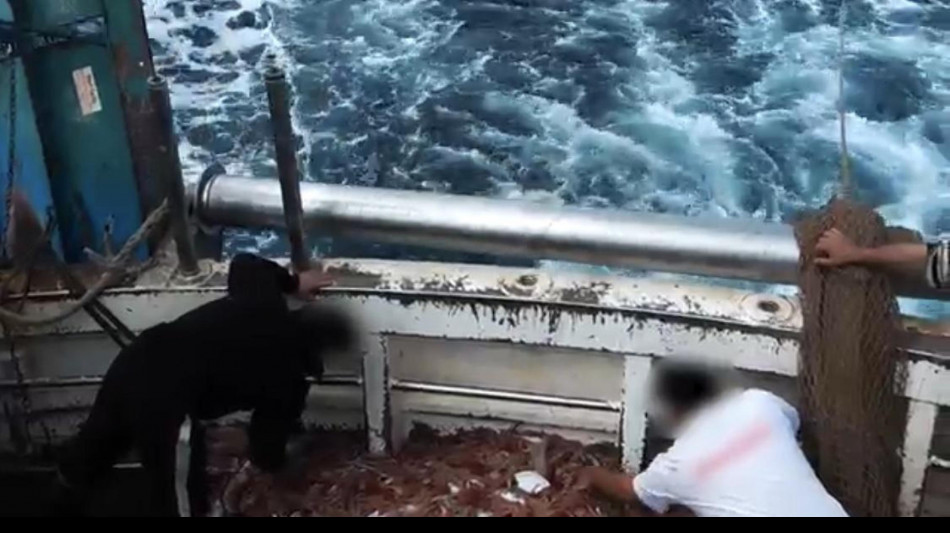 La pesca a strascico riduce la biodiversit&agrave; del Mediterraneo