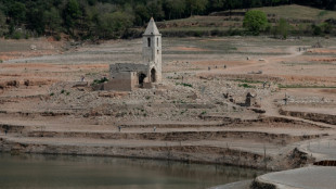 Madrid pide a Bruselas ayuda para sus agricultores por la sequ&iacute;a hist&oacute;rica