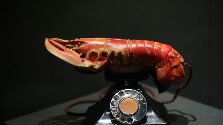 De Dal&iacute; a Bj&ouml;rk, casi un siglo de surrealismo en el dise&ntilde;o se expone en Londres