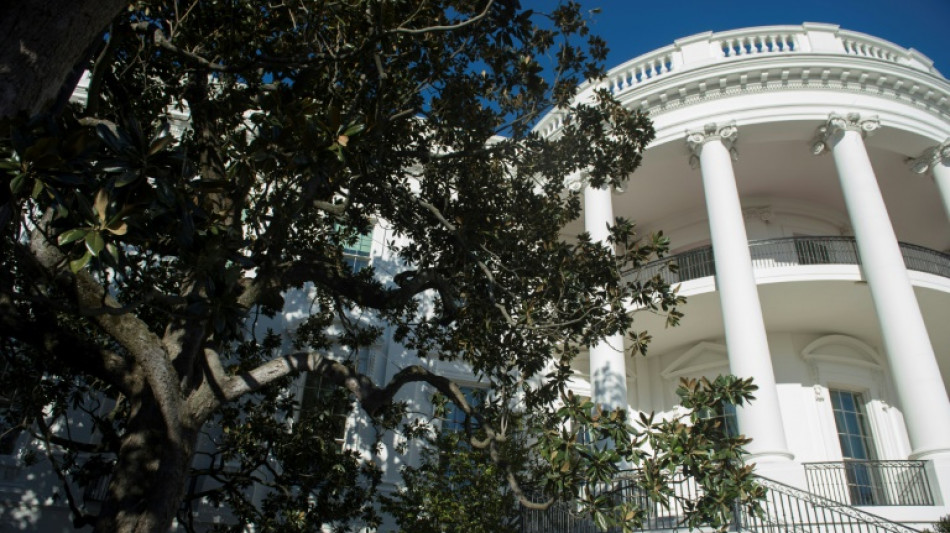 Sicherheitsrisiko: Trump will historischen Magnolienbaum vor Wei&szlig;em Haus f&auml;llen lassen