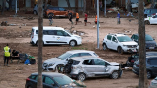 El Marsella y sus hinchas recaudar&aacute;n fondos para las v&iacute;ctimas de Valencia