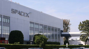 SpaceX firma un megacontrato con Google antes de su salida a bolsa