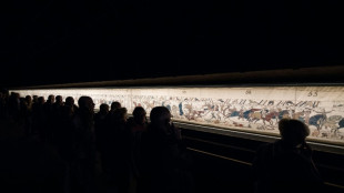 Fast facts on the Bayeux Tapestry