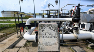 Pipeline-Streit: Selenskyj l&auml;dt slowakischen Regierungschef Fico in die Ukraine ein