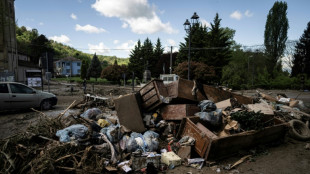 Climate change could double summer rainfall in the Alps: study