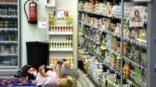 Exceptional Nordic heatwave stumps tourists seeking shade