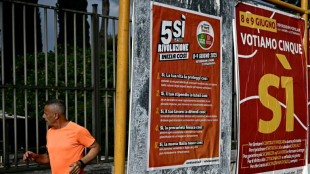 Italianos votam em referendo sobre naturalização e direitos trabalhistas