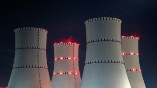 Le Bangladesh attend avec impatience ses premiers kilowatts d'&eacute;lectricit&eacute; nucl&eacute;aire