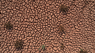 IPCC: Kampf gegen Klimakrise f&uuml;r Erhalt von "lebenswerter" Erde dringend n&ouml;tig