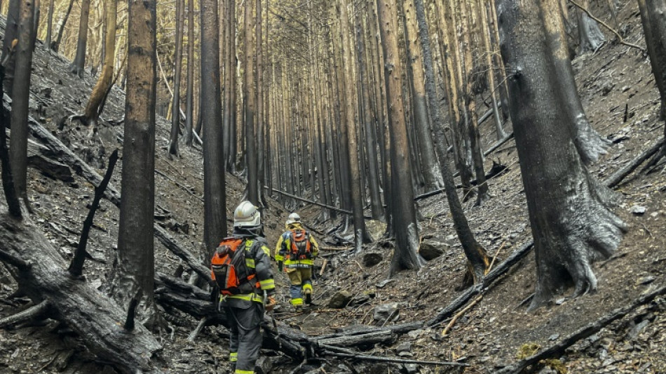 La lluvia frena el avance del peor incendio forestal de Jap&oacute;n en medio siglo