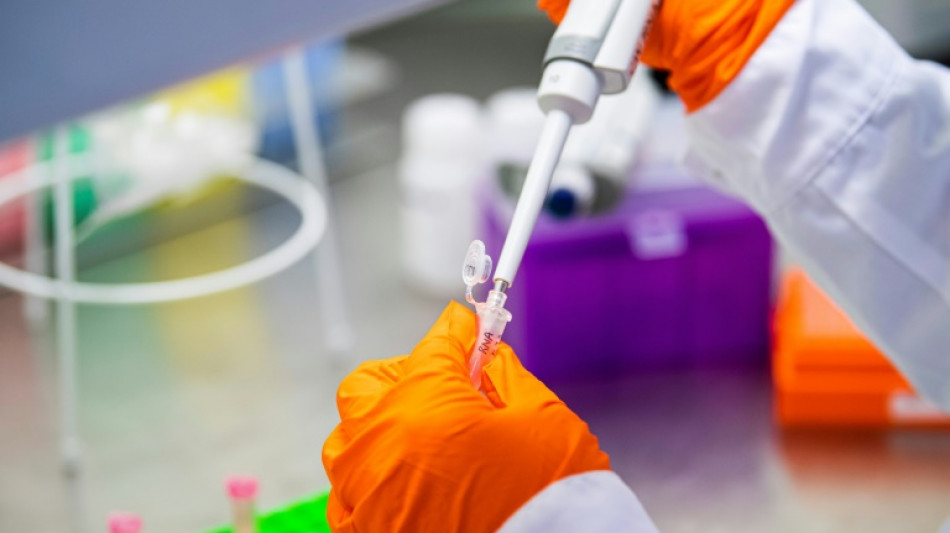 Los misterios de los obeliscos, diminutos habitantes de nuestro organismo