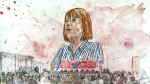 France: au proc&egrave;s en appel des viols de Mazan, Gis&egrave;le Pelicot face &agrave; un dernier accus&eacute;