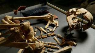 Mudan&ccedil;a social explicaria redu&ccedil;&atilde;o da diversidade gen&eacute;tica masculina durante o Neol&iacute;tico