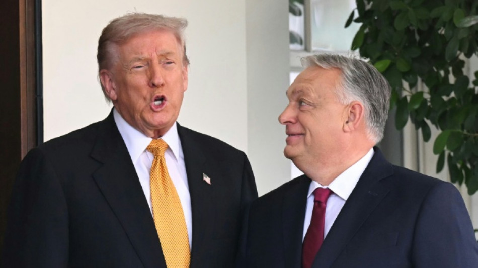 "Gro&szlig;artiger Anf&uuml;hrer": Trump empf&auml;ngt Ungarns Regierungschef Orban