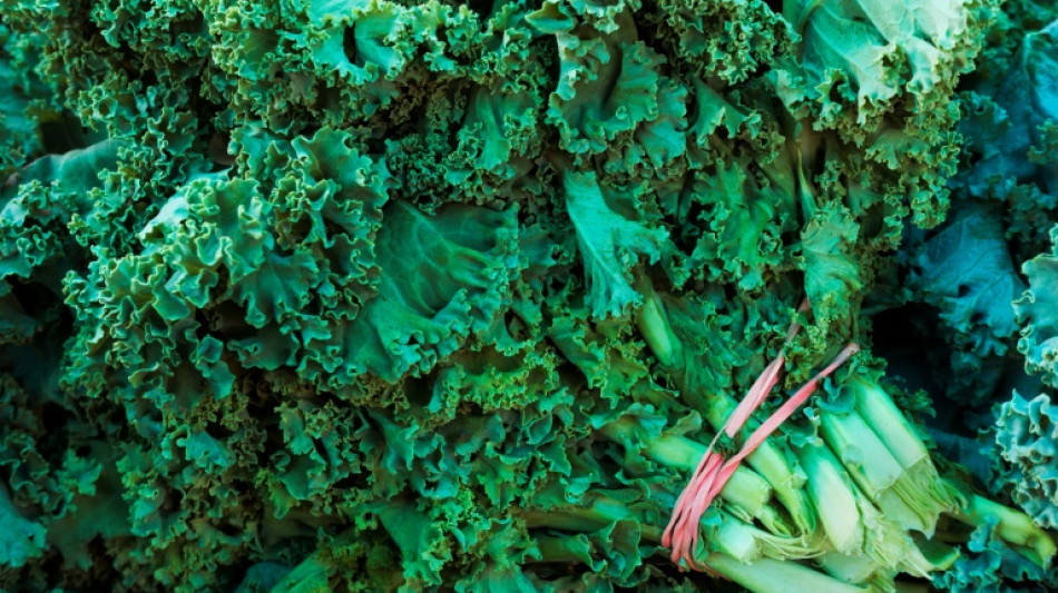 Gr&uuml;nkohlernte in Niedersachsen im vergangenen Jahr eingebrochen