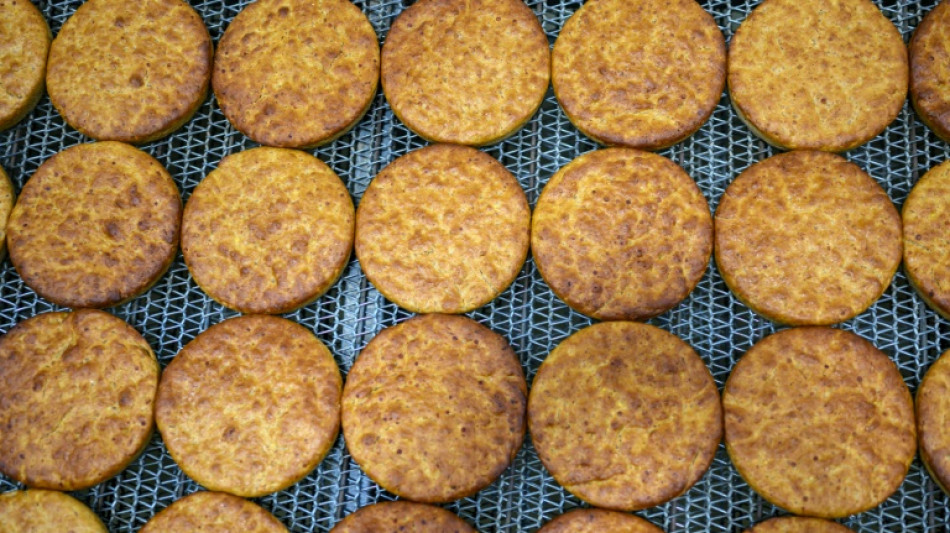 La Turquie d&eacute;couvre et reproduit un pain vieux de 5.000 ans