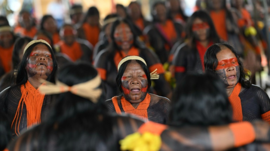 Líderes indígenas mundiais pedem mesmo peso que chefes de Estado na COP30