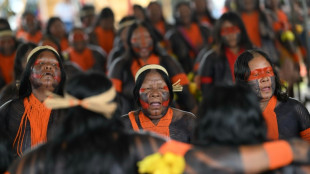 Líderes indígenas mundiais pedem mesmo peso que chefes de Estado na COP30