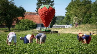 Revisado al alza el crecimiento de la Eurozona en el 1T, al 0,6%