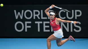 Japón y Estados Unidos completan la 'Final 8' de la BJK Cup