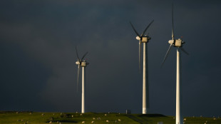 UK carbon emissions cut by half since 1990: experts