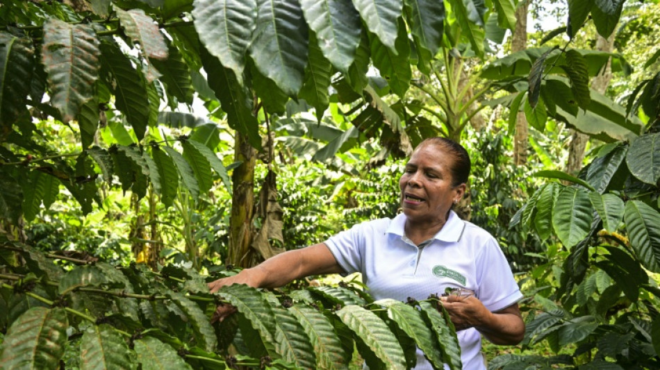 Entre monta&ntilde;as verdes, campesinos cuidan el agua del canal de Panam&aacute;