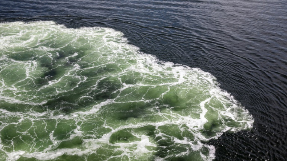 EU verh&auml;ngt Sanktionen gegen russische "Schattenflotte"