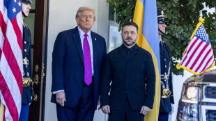 Media, 'incontro con Zelensky teso, Trump &egrave; stato duro'