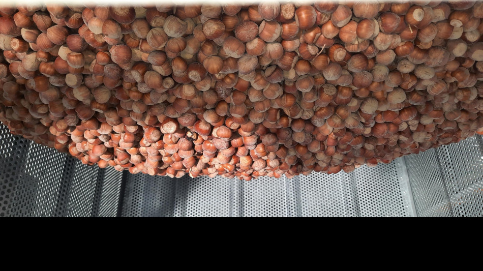 Ismea, 'boom della frutta a guscio, acquisti oltre 1,1 miliardi'