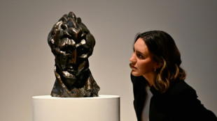 A New York, record d'ench&egrave;res pour Degas et un bronze de Picasso