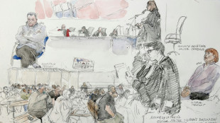 Proc&egrave;s des viols de Mazan: les peines requises contre les 51 accus&eacute;s