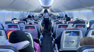 Compagnies a&eacute;riennes: record de passagers et rentabilit&eacute; en hausse pr&eacute;vus en 2025