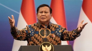Indonesia hails 'new era' with US after Trump trade pact