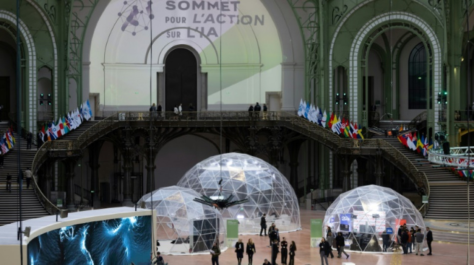 Labour impact and trade windfall on agenda at Paris AI summit